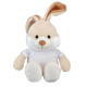 lapin-personnalise-texte-image-de-votre-choix
