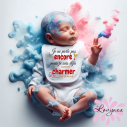 bavoir bébé personnalisé je ne parle pas encore mais je sais déjà comment charmer tout le monde